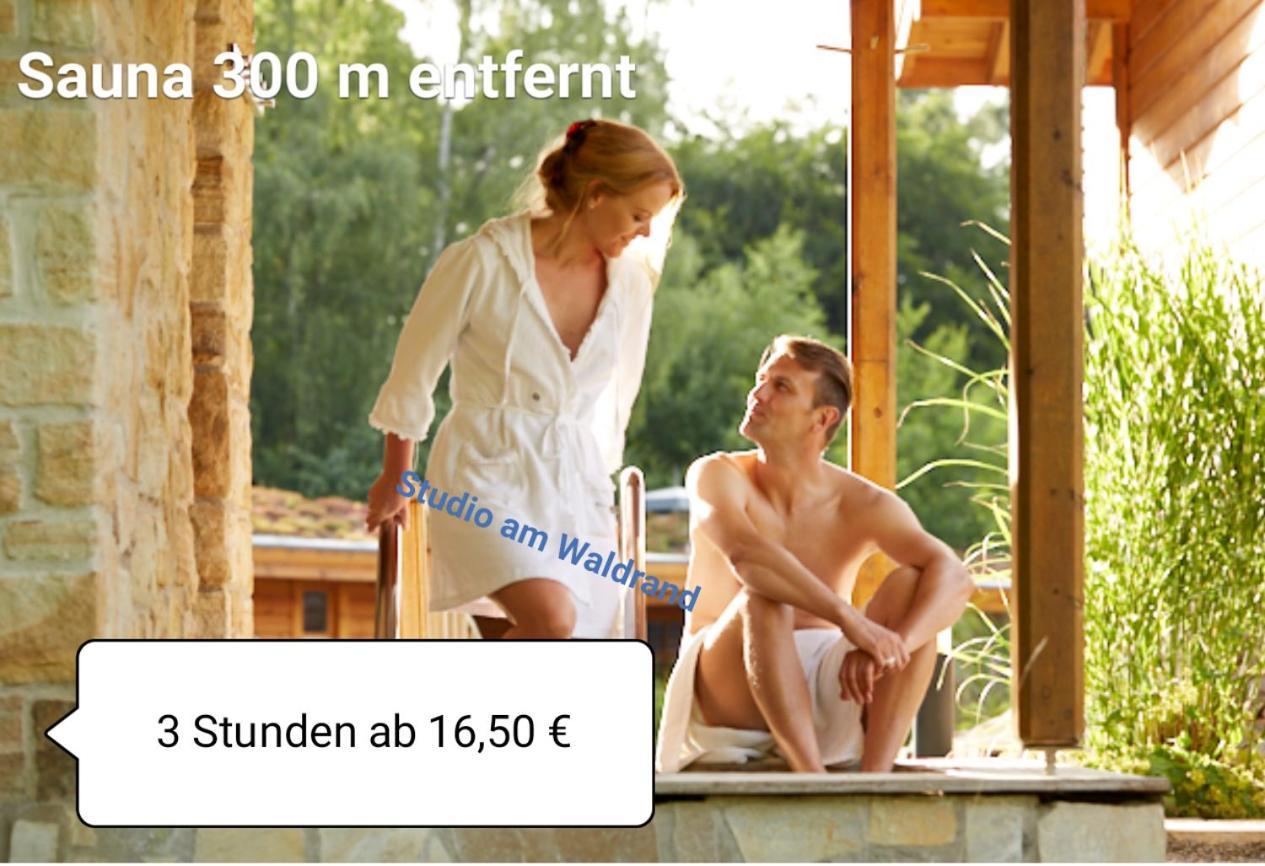 Studio Am Waldrand Wadgassen Exterior foto